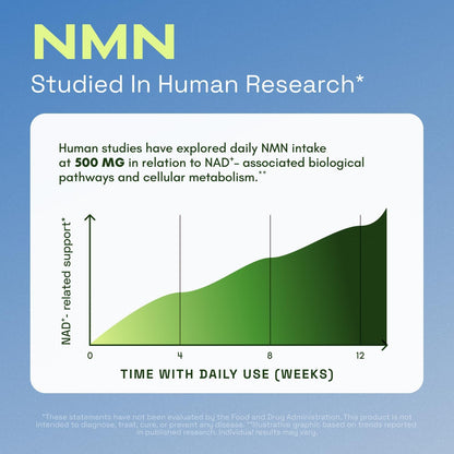 NMN Supplement – 4-In-1 NAD Supplement with Quercetin